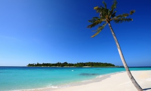 goa beach