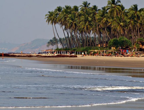 Best time to visit goa