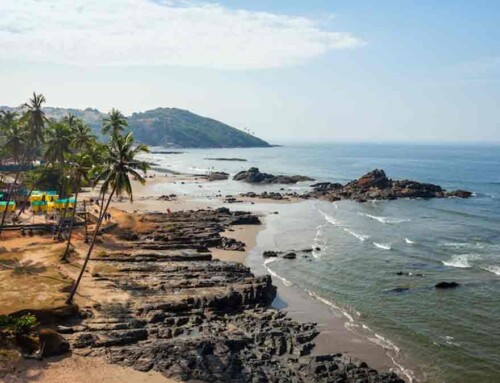 Why you should visit NORTH GOA in Monsoon!